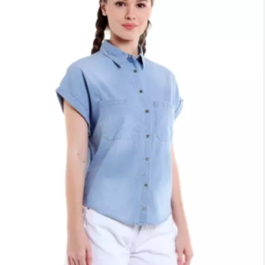 Light Blue Regular Embroidered Top